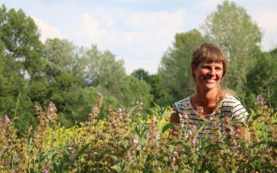 Terre d’Entraide : une association nouvelle pour la réinsertion en zone rurale